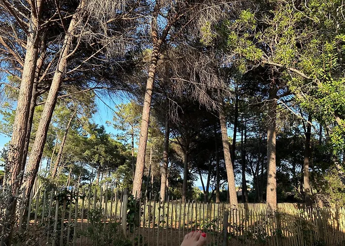 فيلة Plages De La Nartelle- Maxime - Piscine Privee سانت ماكسيم