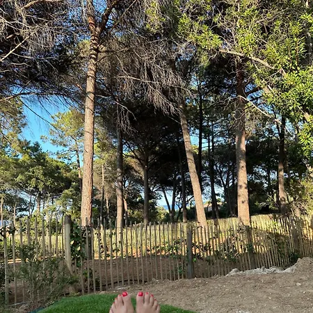 Villa Plages De La Nartelle- Maxime - Piscine Privee