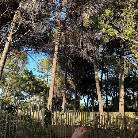 Villa Plages De La Nartelle- Maxime - Piscine Privee Sainte-Maxime